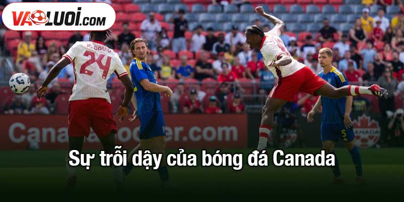 David kỳ vọng Canada có thể tiến xa tại World Cup trên sân nhà Sự trỗi dậy của bóng đá Canada