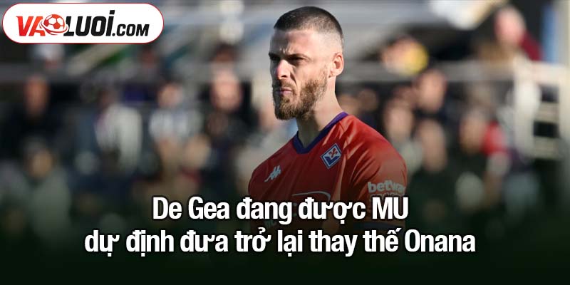David de Gea - Mục tiêu của cả MU và Napoli trong chuyển nhượng mùa hè 2025 De Gea đang được MU dự định đưa trở lại thay thế Onana
