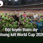 đội tuyển tham dự chung kết World Cup 2026