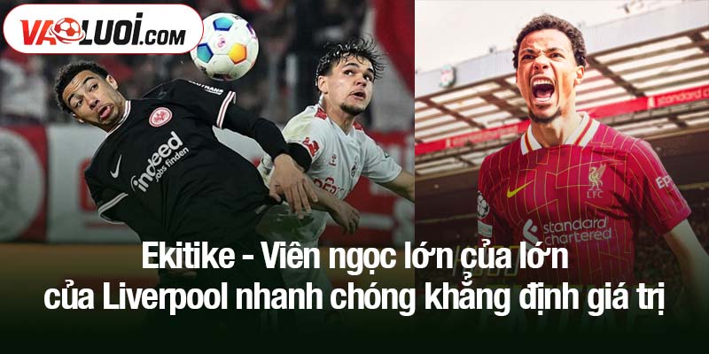 Ekitike - Viên ngọc lớn của lớn của Liverpool Ekitike - Viên ngọc lớn của lớn của Liverpool nhanh chóng khẳng định giá trị