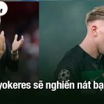 Gyokeres sẽ nghiền nát bạn