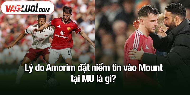 Giải mã lý do Amorim đặt niềm tin vào Mount tại MU Lý do Amorim đặt niềm tin vào Mount tại MU là gì?