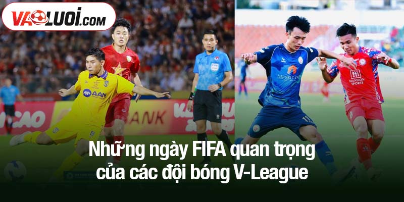 Những ngày FIFA quan trọng - Khoảnh khắc của các đội bóng V-League Những ngày FIFA quan trọng của các đội bóng V-League