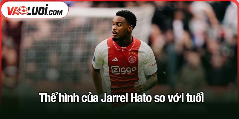 Jorrel Hato giỏi đến mức nào? Tài năng trẻ của Ajax gia nhập Chelsea Thể hình của Jarrel Hato so với tuổi