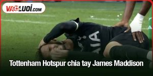 Tottenham Hotspur chia tay James Maddison
