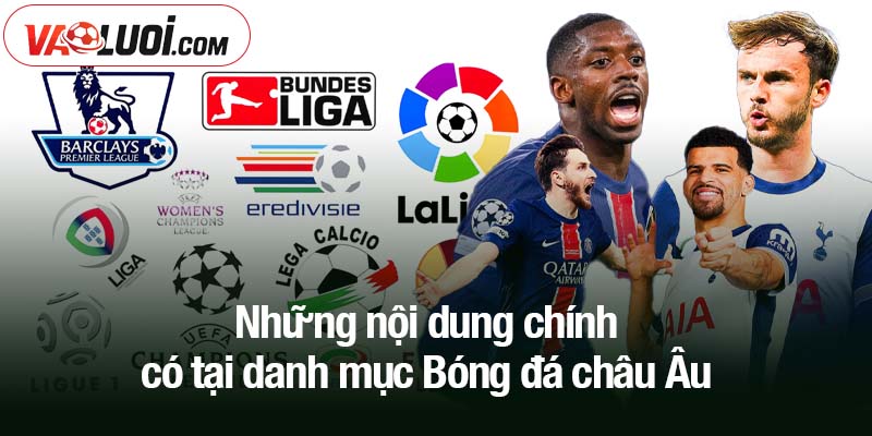 Những nội dung chính có tại danh mục Bóng đá châu Âu