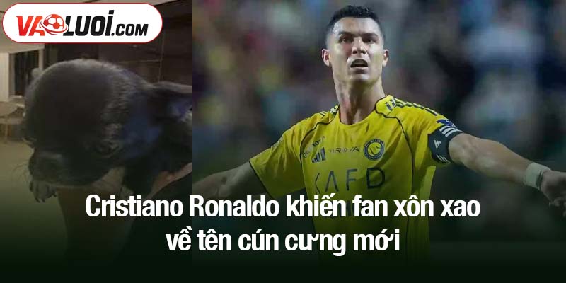 Cristiano Ronaldo khiến fan xôn xao về tên cún cưng mới