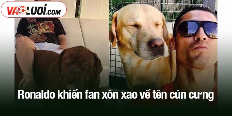 Ronaldo khiến fan xôn xao về tên cún cưng