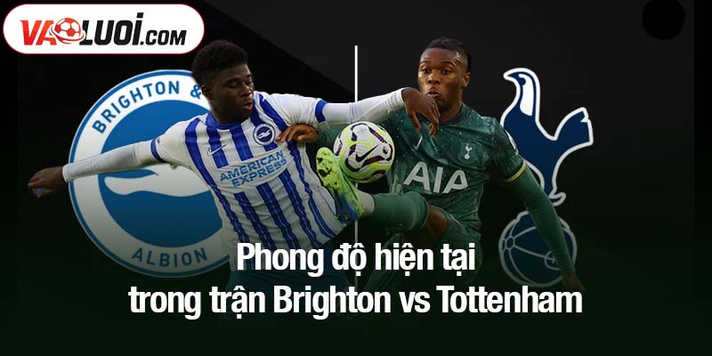 Phong độ hiện tại trong trận Brighton vs Tottenham