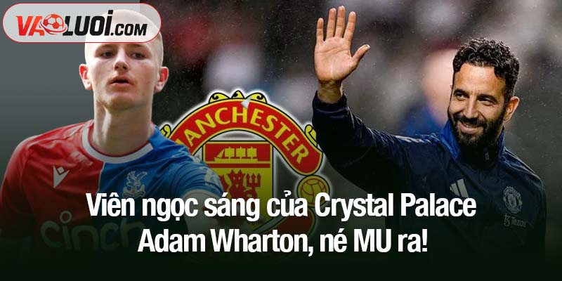 Tiền vệ Crystal Palace - Adam Wharton, né MU ra! Viên ngọc sáng của Crystal Palace - Adam Wharton, né MU ra!