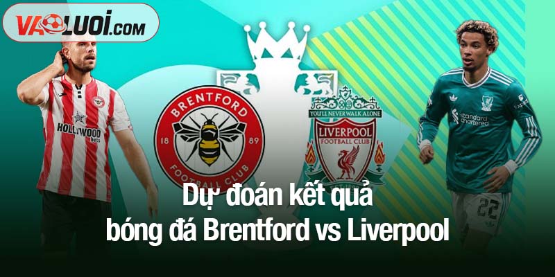 Soi kèo Brentford vs Liverpool, 02h00 ngày 26/10: Tái lập thế cân bằng Dự đoán kết quả bóng đá Brentford vs Liverpool