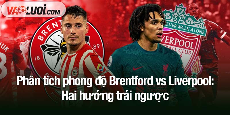 Soi kèo Brentford vs Liverpool, 02h00 ngày 26/10: Tái lập thế cân bằng Phân tích phong độ Brentford vs Liverpool: Hai hướng trái ngược