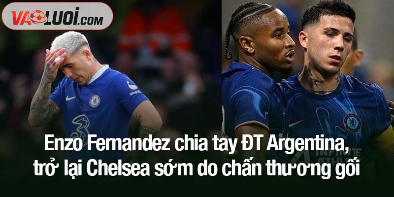 Enzo Fernandez chia tay ĐT Argentina, trở lại Chelsea sớm do chấn thương gối
