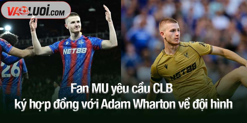Fan MU yêu cầu CLB ký hợp đồng với Adam Wharton về đội hình Fan MU yêu cầu CLB ký hợp đồng với Adam Wharton về đội hình
