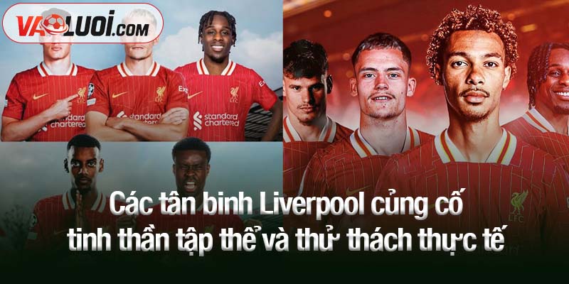 Các tân binh Liverpool củng cố tinh thần tập thể và thử thách thực tế