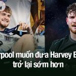 Liverpool muốn đưa Harvey Elliott trở lại sớm hơn dự kiến Liverpool muốn đưa Harvey Elliott trở lại sớm hơn