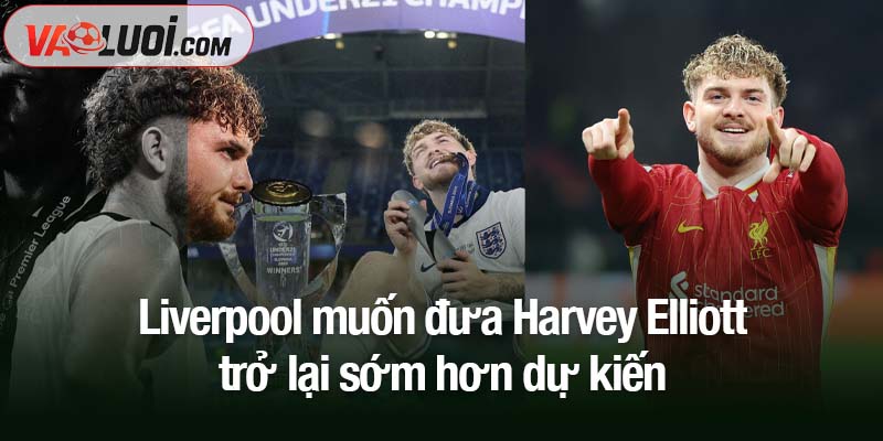 Liverpool muốn đưa Harvey Elliott trở lại sớm hơn dự kiến Liverpool muốn đưa Harvey Elliott trở lại sớm hơn dự kiến