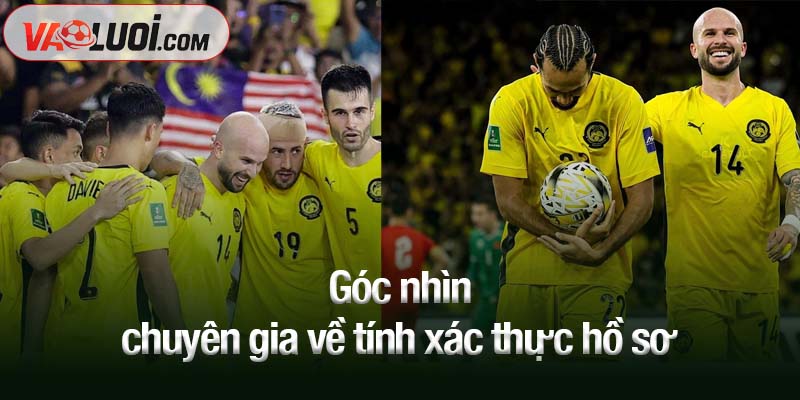 Góc nhìn chuyên gia về tính xác thực hồ sơ
