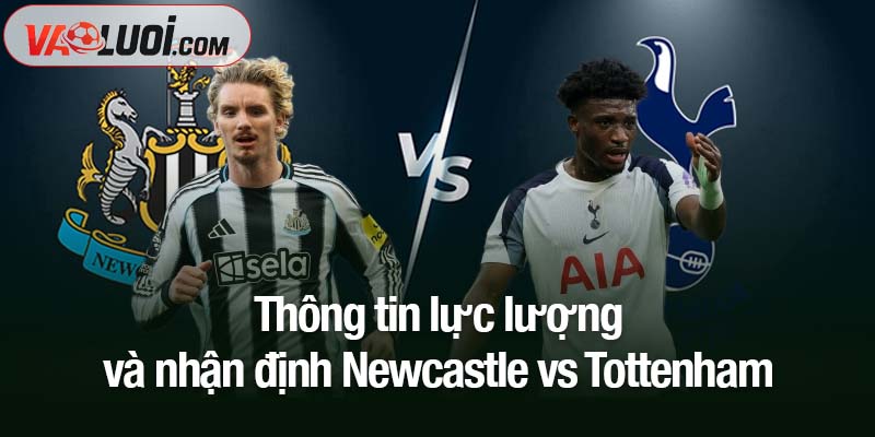 Dự đoán Newcastle vs Tottenham, 03h00 ngày 30/10: Gà trống có "buông" không? Thông tin lực lượng và nhận định Newcastle vs Tottenham