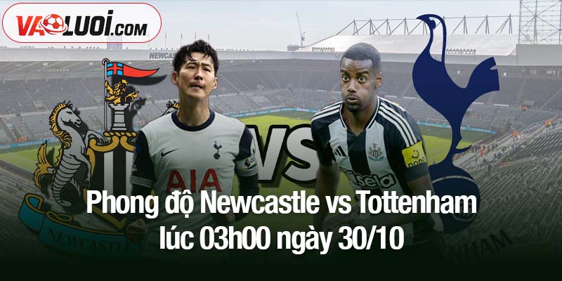 Dự đoán Newcastle vs Tottenham, 03h00 ngày 30/10: Gà trống có "buông" không? Phong độ Newcastle vs Tottenham lúc 03h00 ngày 30/10
