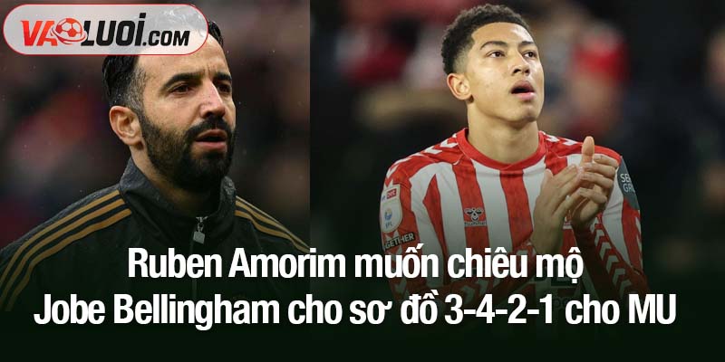 Ruben Amorim muốn chiêu mộ Jobe Bellingham cho sơ đồ 3-4-2-1 cho MU Ruben Amorim muốn chiêu mộ Jobe Bellingham cho sơ đồ 3-4-2-1 cho MU