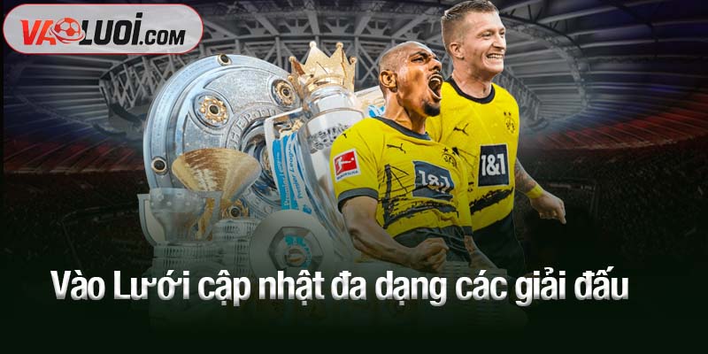 New Home Vào Lưới cập nhật đa dạng các giải đấu