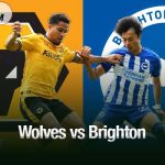 Nhận định trận Wolves vs Brighton, 20h00 5/10: "Bầy sói" đối mặt khó khăn Wolves vs Brighton