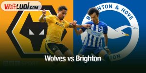 Wolves vs Brighton