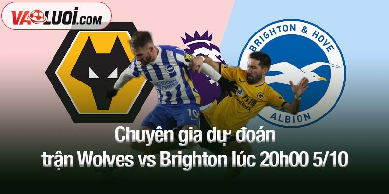 Nhận định trận Wolves vs Brighton, 20h00 5/10: "Bầy sói" đối mặt khó khăn Chuyên gia dự đoán trận Wolves vs Brighton lúc 20h00 5/10