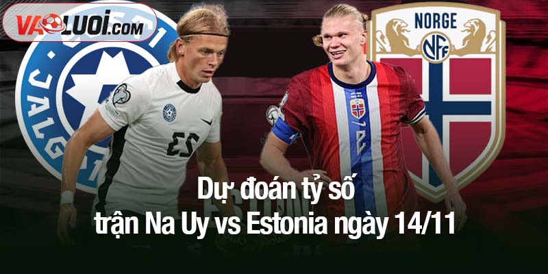 Dự đoán trận Na Uy vs Estonia, 0h00 ngày 14/11: Chênh lệch trình độ khó san lấp Dự đoán tỷ số trận Na Uy vs Estonia ngày 14/11