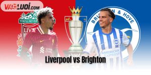 Liverpool vs Brighton